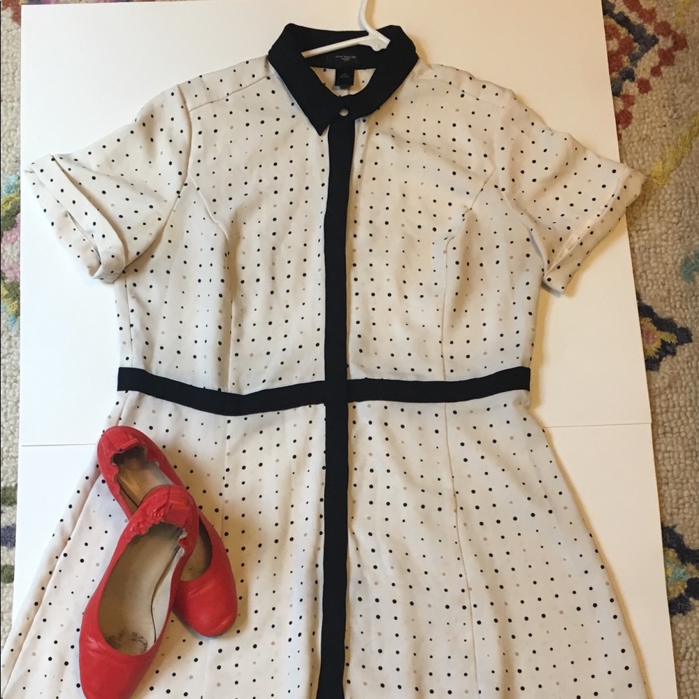 Cream polka dot shirt dress